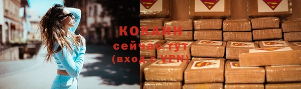 винт Богданович