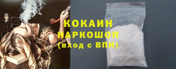 винт Богданович