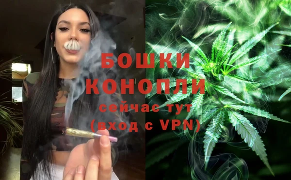 ПСИЛОЦИБИНОВЫЕ ГРИБЫ Белоозёрский