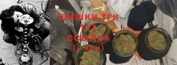винт Богданович