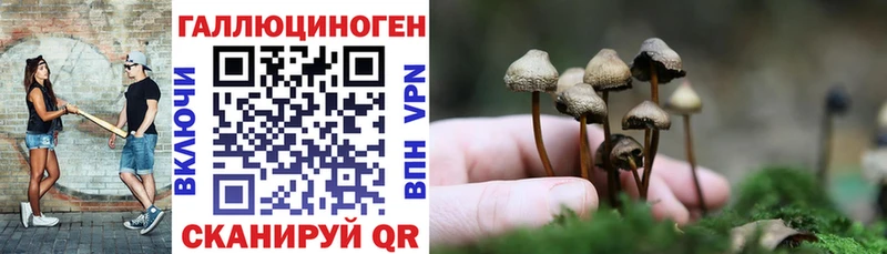Псилоцибиновые грибы прущие грибы Гай